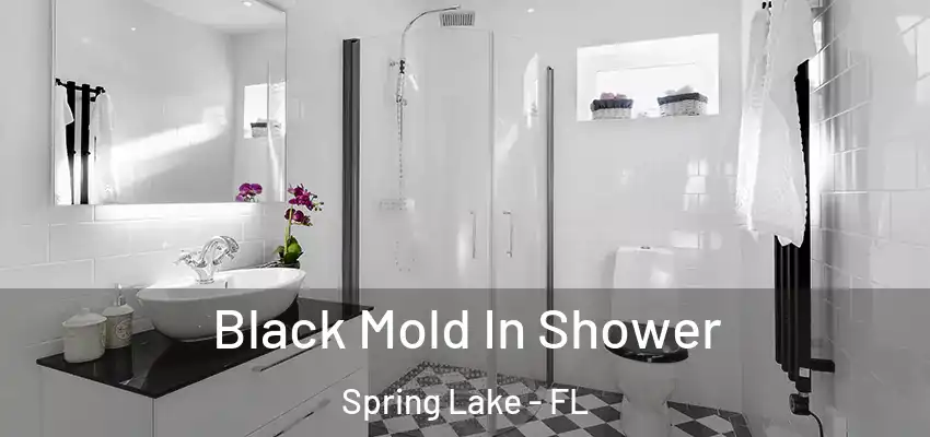 Black Mold In Shower Spring Lake - FL
