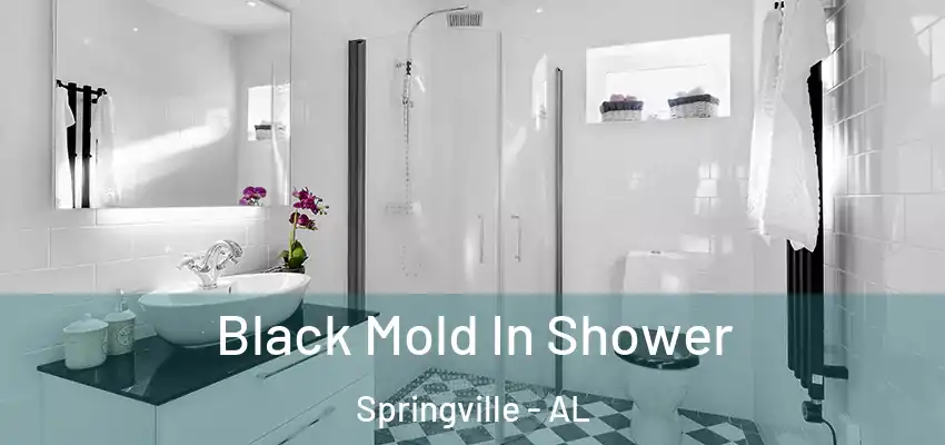  Black Mold In Shower Springville - AL