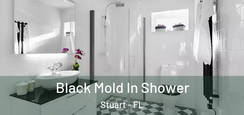 Black Mold In Shower Stuart - FL