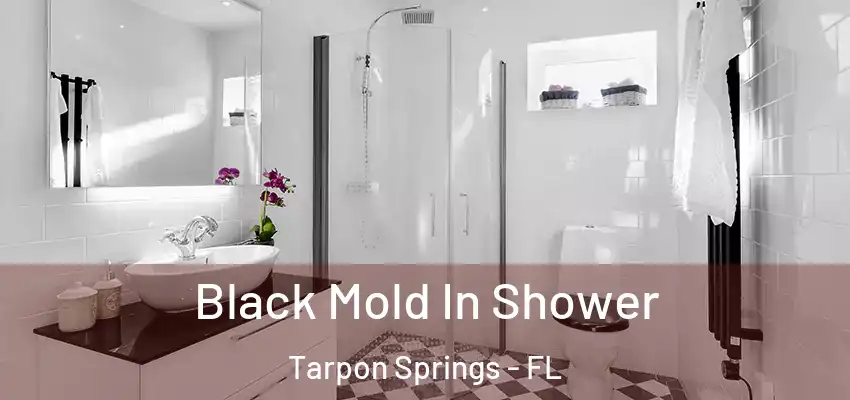 Black Mold In Shower Tarpon Springs - FL