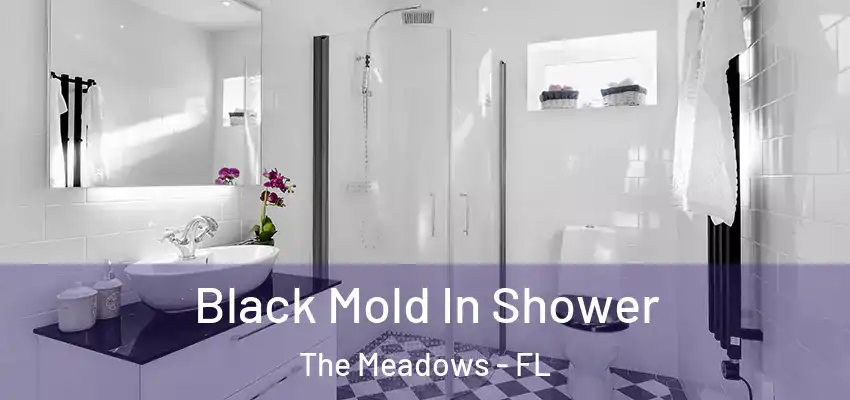  Black Mold In Shower The Meadows - FL