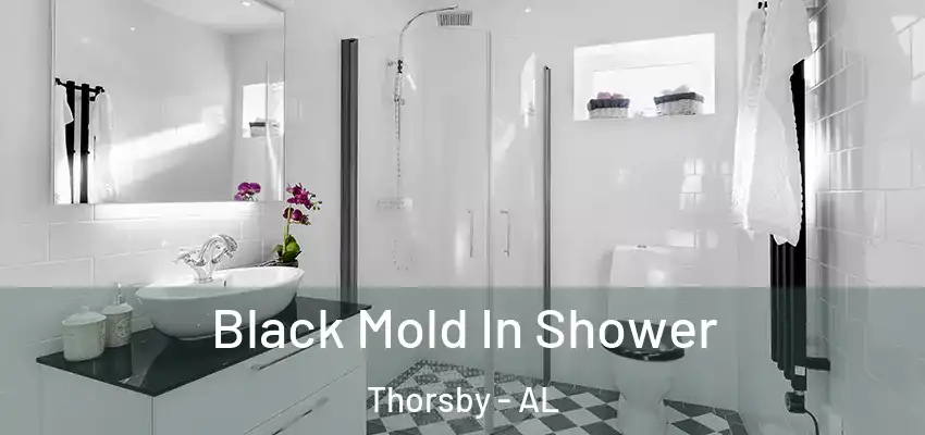 Black Mold In Shower Thorsby - AL