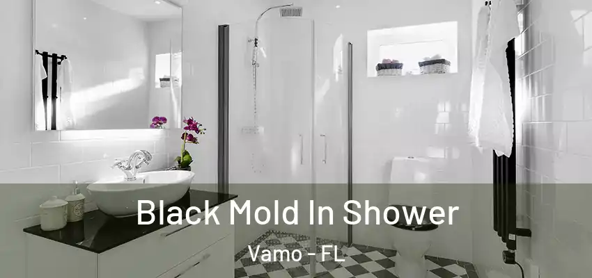 Black Mold In Shower Vamo - FL