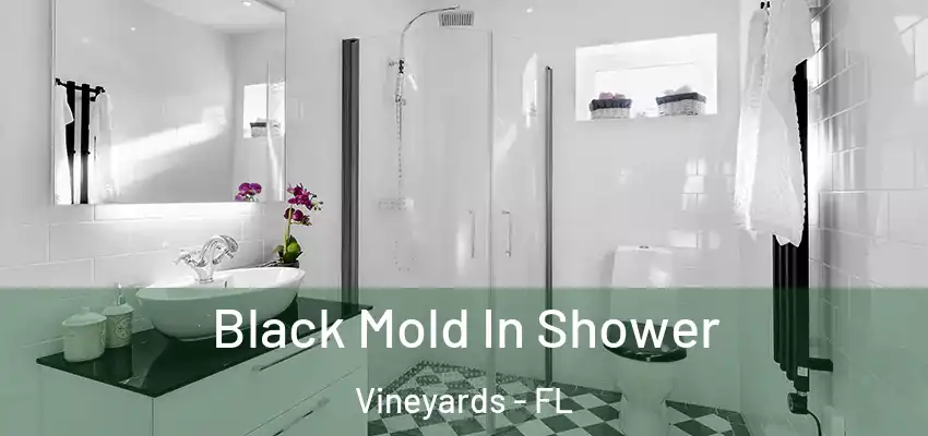 Black Mold In Shower Vineyards - FL