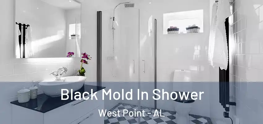  Black Mold In Shower West Point - AL