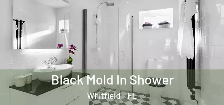  Black Mold In Shower Whitfield - FL