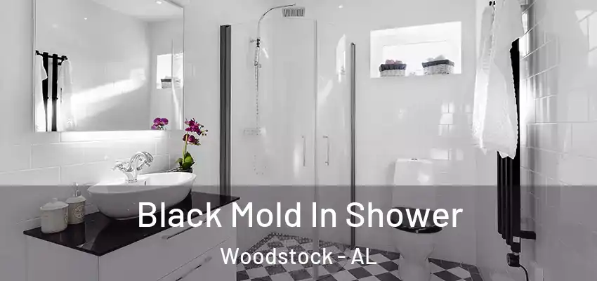 Black Mold In Shower Woodstock - AL