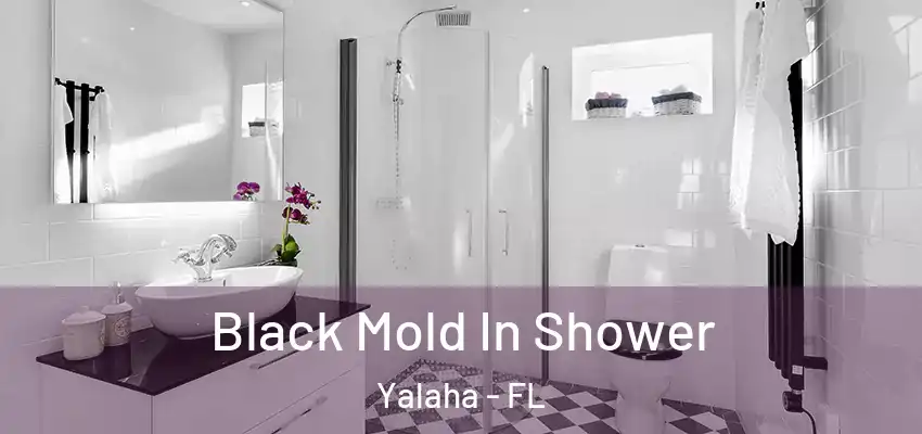  Black Mold In Shower Yalaha - FL