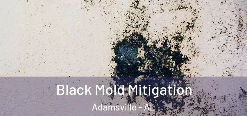 Black Mold Mitigation Adamsville - AL