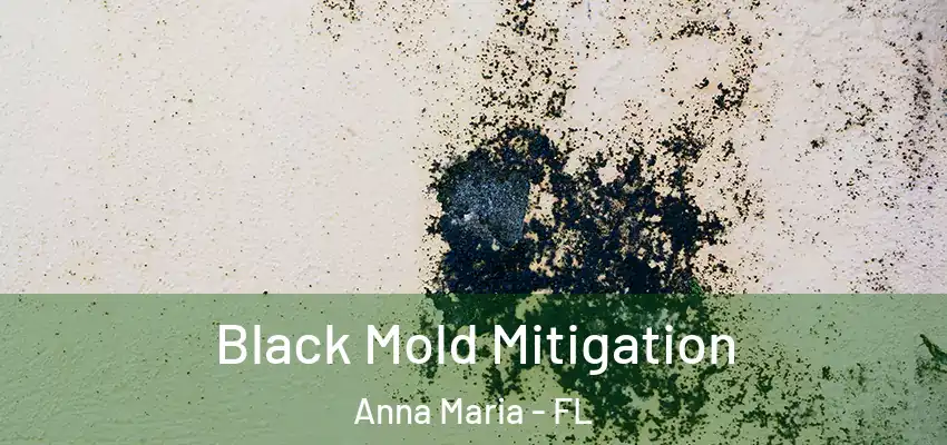 Black Mold Mitigation Anna Maria - FL