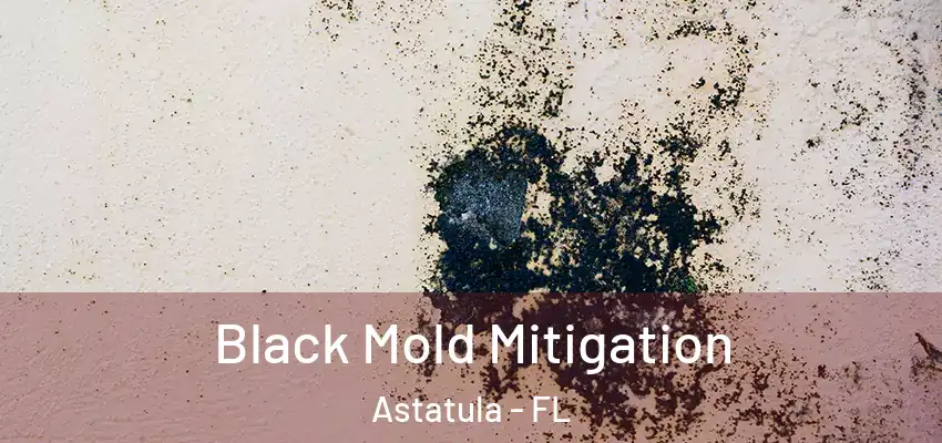 Black Mold Mitigation Astatula - FL