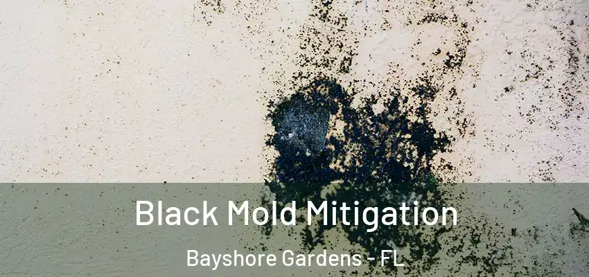 Black Mold Mitigation Bayshore Gardens - FL