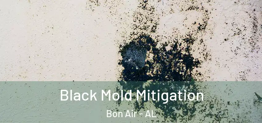 Black Mold Mitigation Bon Air - AL