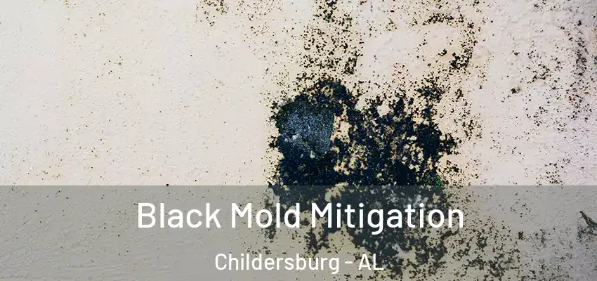 Black Mold Mitigation Childersburg - AL