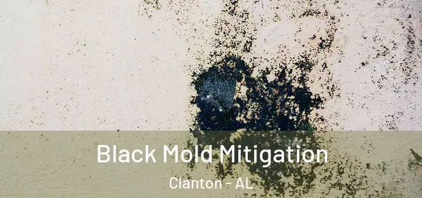 Black Mold Mitigation Clanton - AL
