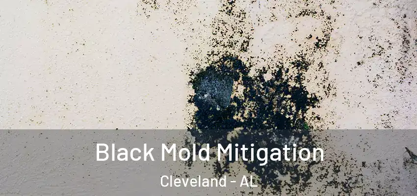 Black Mold Mitigation Cleveland - AL
