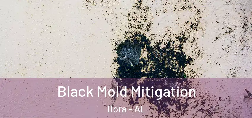 Black Mold Mitigation Dora - AL
