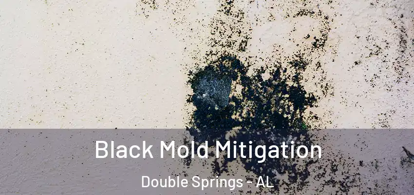 Black Mold Mitigation Double Springs - AL