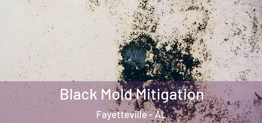 Black Mold Mitigation Fayetteville - AL