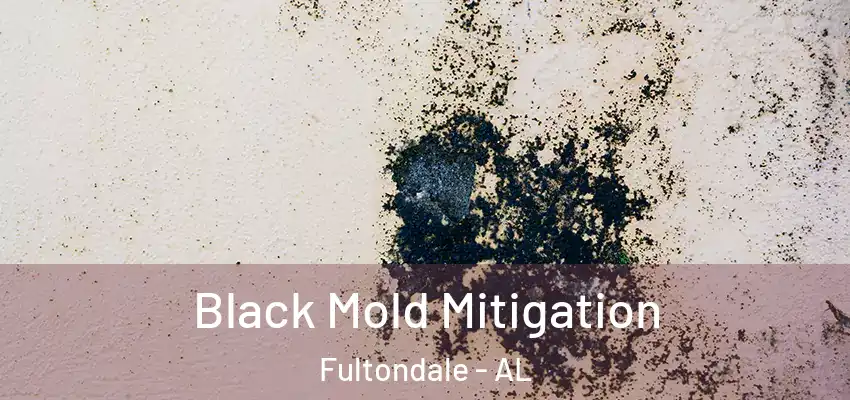 Black Mold Mitigation Fultondale - AL