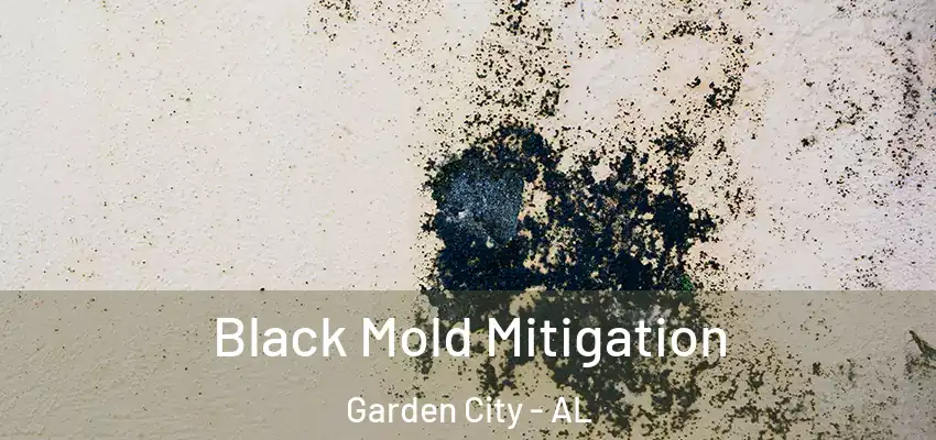 Black Mold Mitigation Garden City - AL