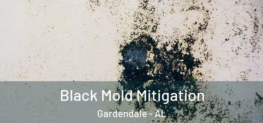 Black Mold Mitigation Gardendale - AL