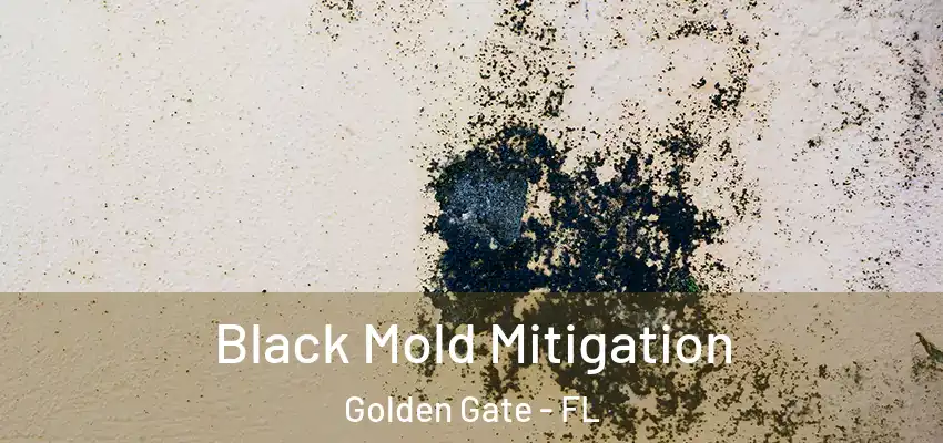 Black Mold Mitigation Golden Gate - FL
