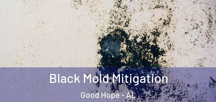 Black Mold Mitigation Good Hope - AL