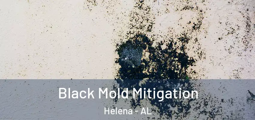 Black Mold Mitigation Helena - AL