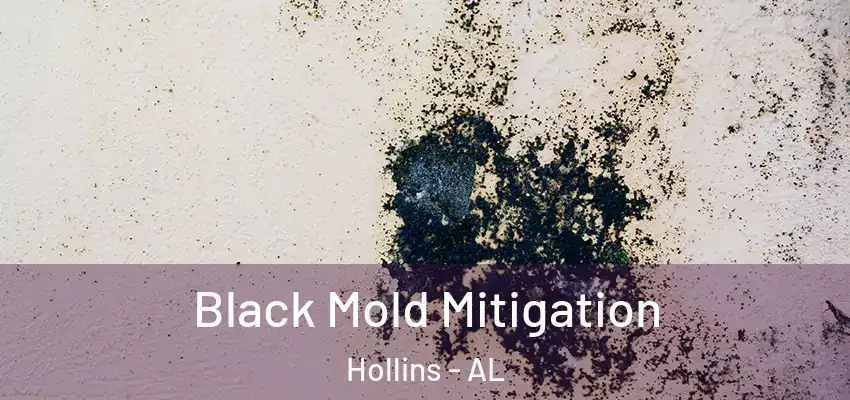 Black Mold Mitigation Hollins - AL