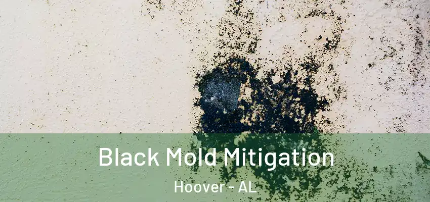 Black Mold Mitigation Hoover - AL