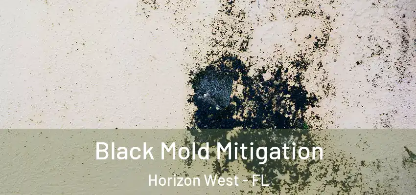 Black Mold Mitigation Horizon West - FL