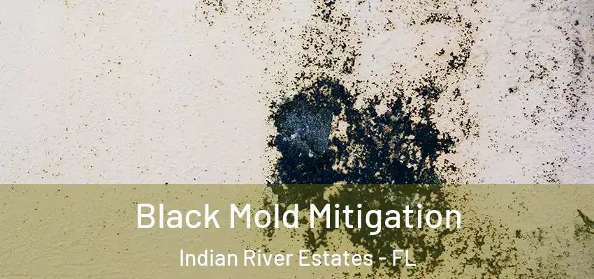 Black Mold Mitigation Indian River Estates - FL