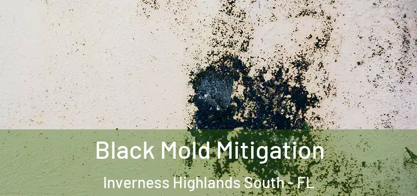 Black Mold Mitigation Inverness Highlands South - FL