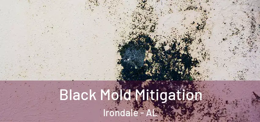 Black Mold Mitigation Irondale - AL