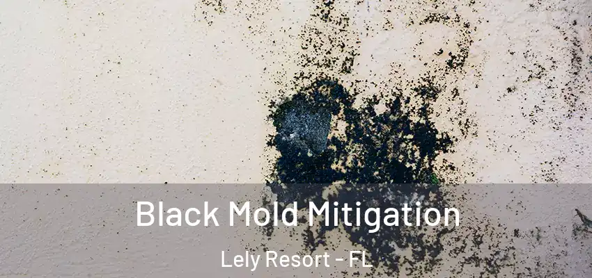  Black Mold Mitigation Lely Resort - FL