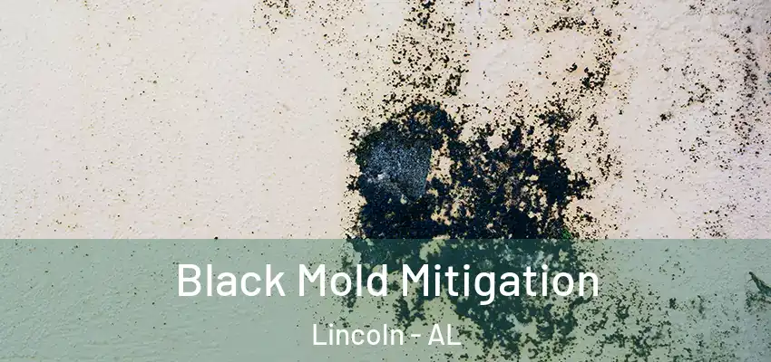Black Mold Mitigation Lincoln - AL