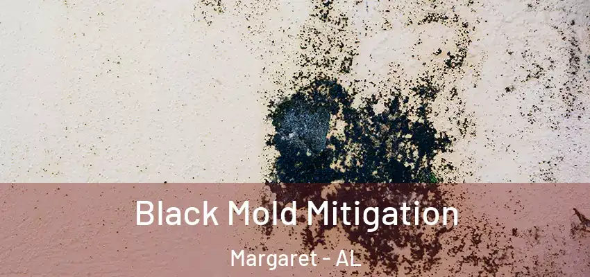 Black Mold Mitigation Margaret - AL