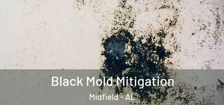  Black Mold Mitigation Midfield - AL