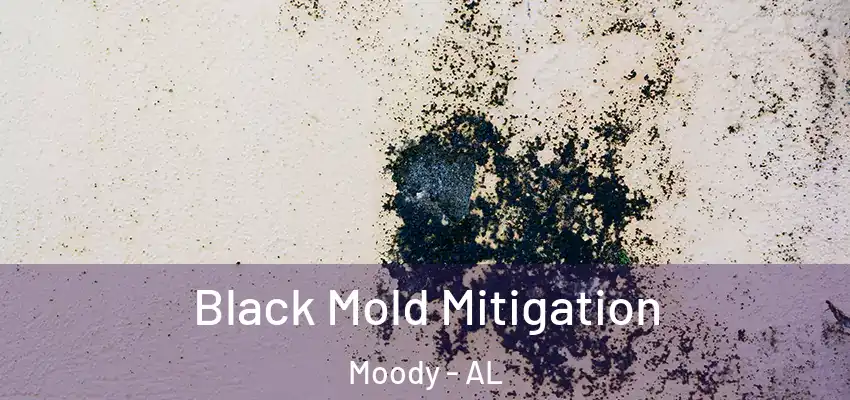 Black Mold Mitigation Moody - AL