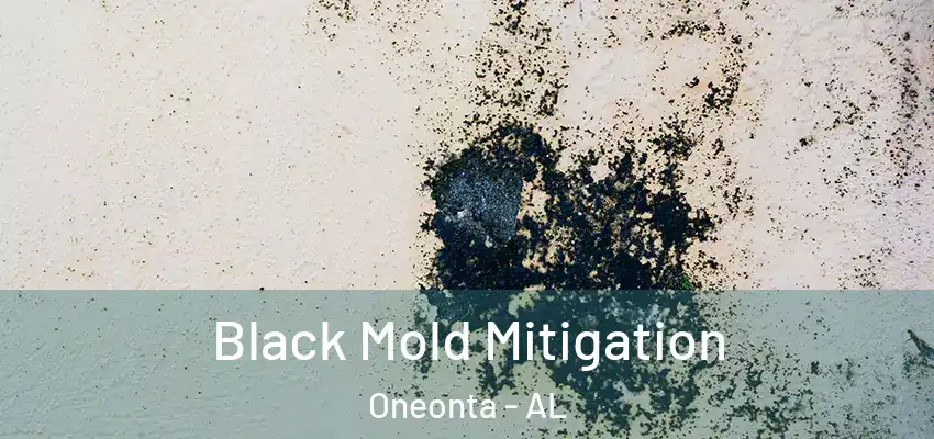  Black Mold Mitigation Oneonta - AL