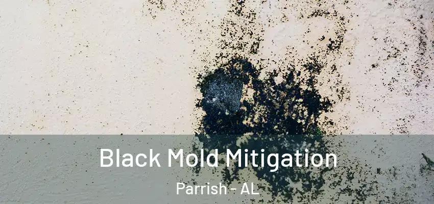  Black Mold Mitigation Parrish - AL