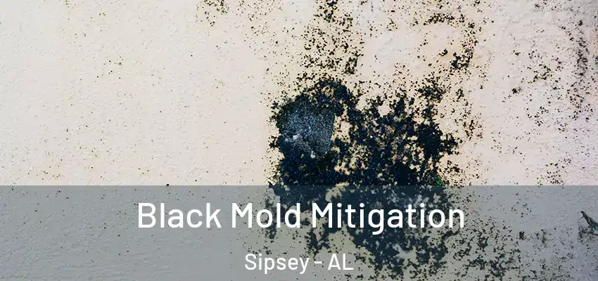 Black Mold Mitigation Sipsey - AL
