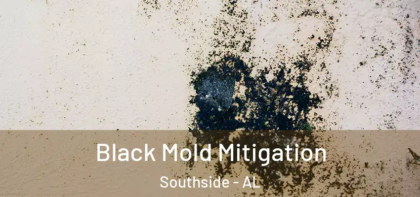 Black Mold Mitigation Southside - AL
