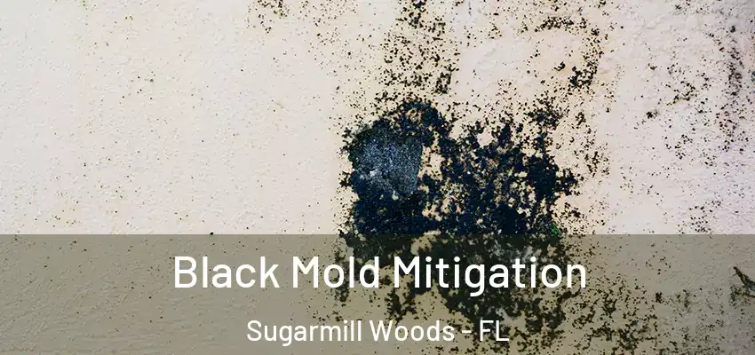 Black Mold Mitigation Sugarmill Woods - FL