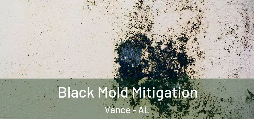  Black Mold Mitigation Vance - AL