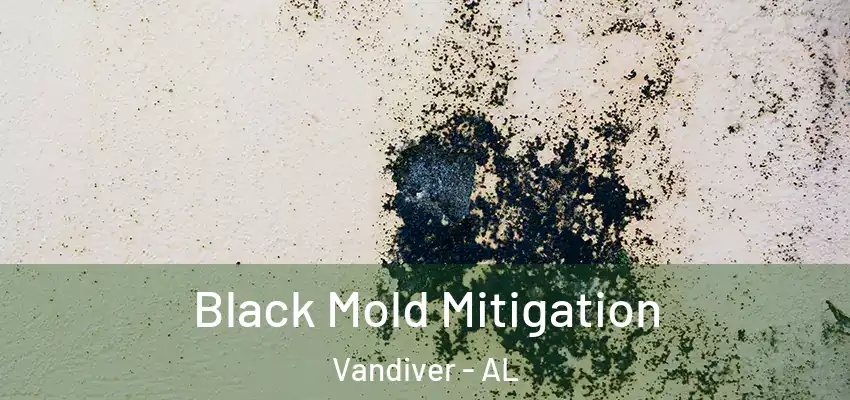 Black Mold Mitigation Vandiver - AL