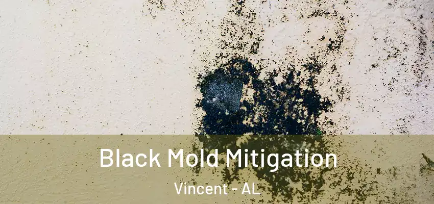  Black Mold Mitigation Vincent - AL