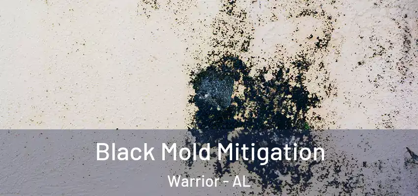  Black Mold Mitigation Warrior - AL