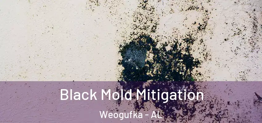 Black Mold Mitigation Weogufka - AL